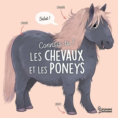 Connais-tu ? Les chevaux et les poneys